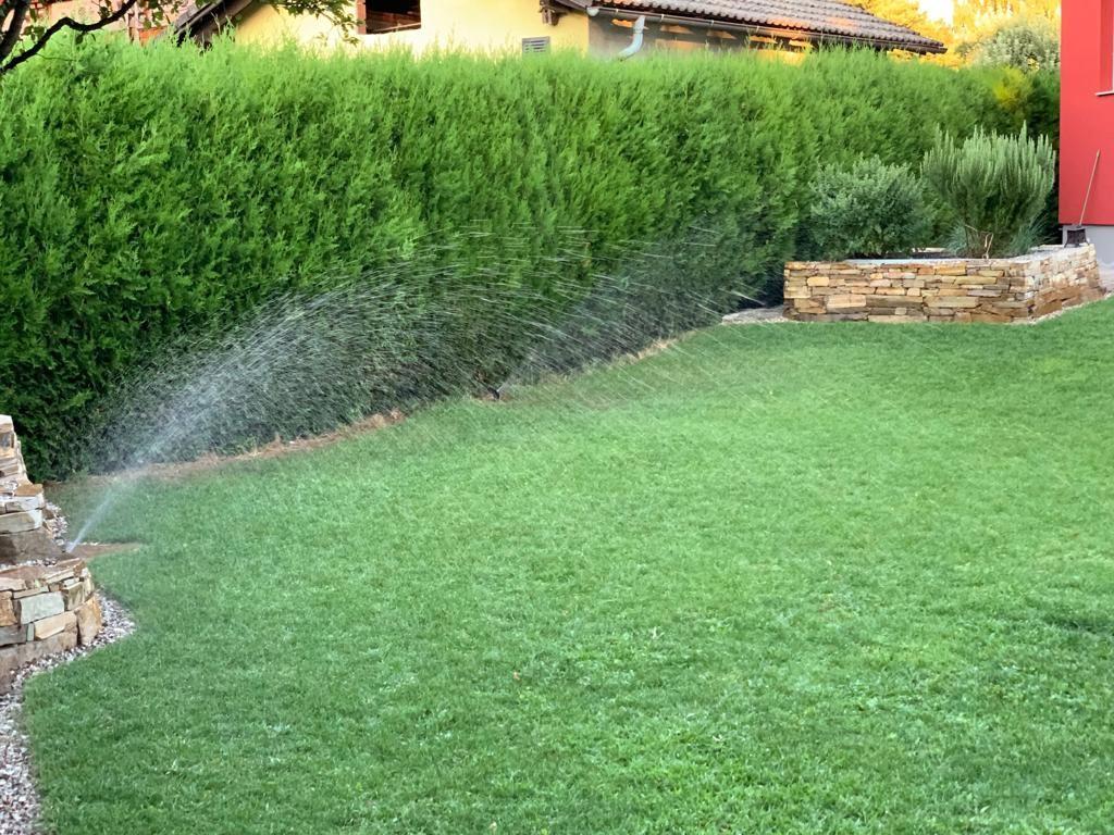 Gartenbewässerung durch Sprühregner