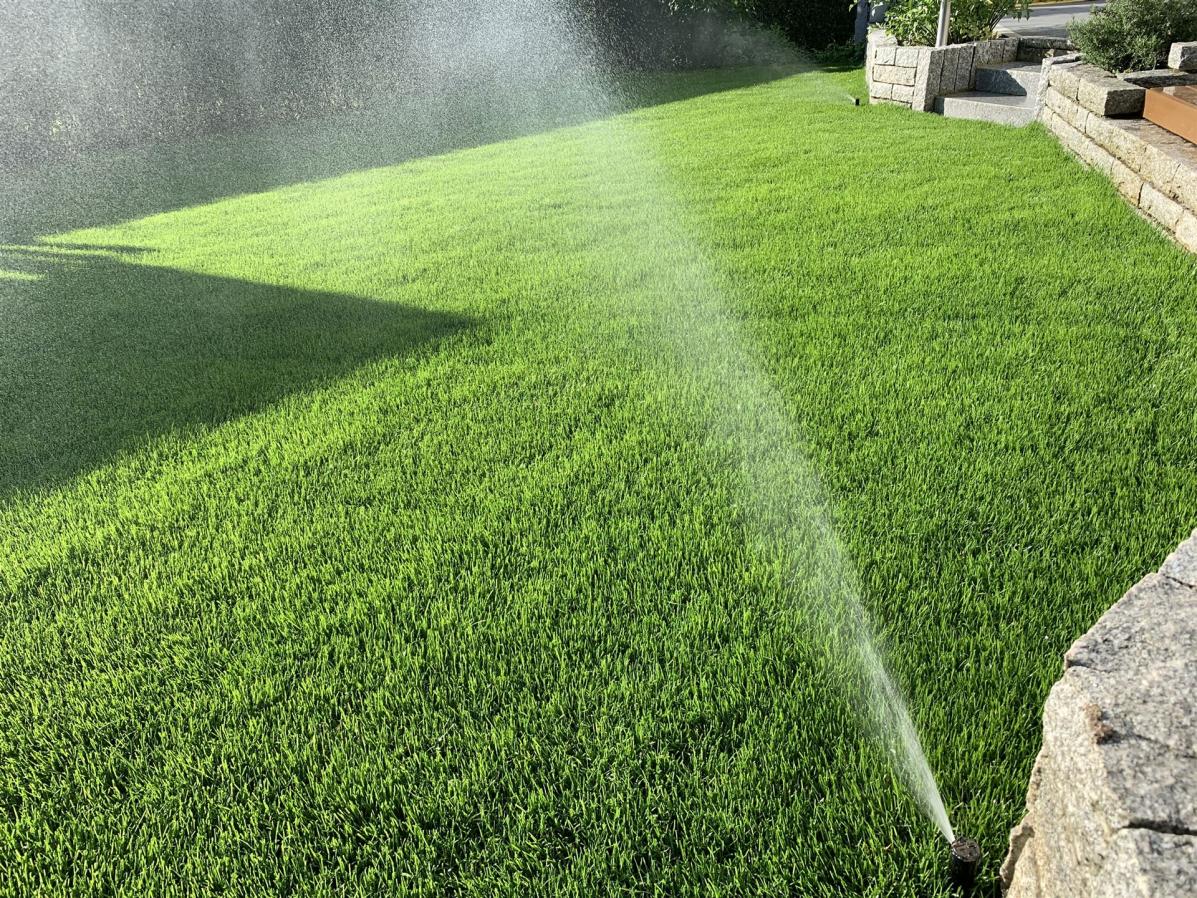 Gartenbwässerung mit Versenkregner