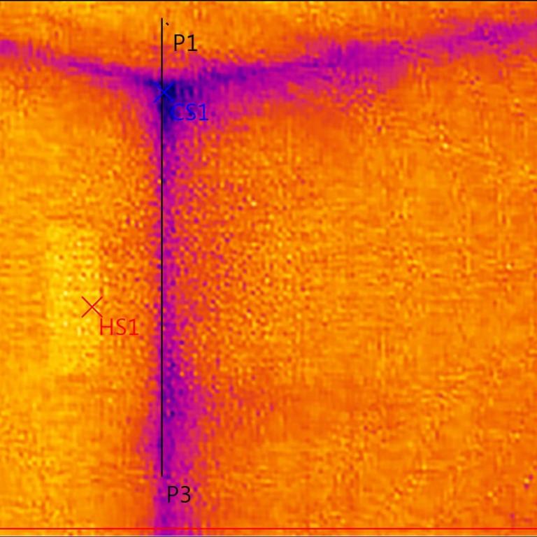Wärmebild einer Infrarotkamera