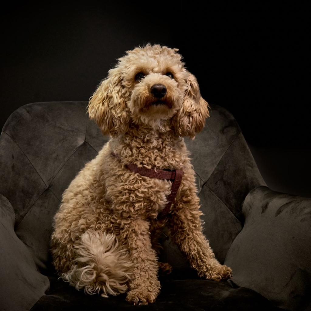 Paula - Fitnesstrainerin